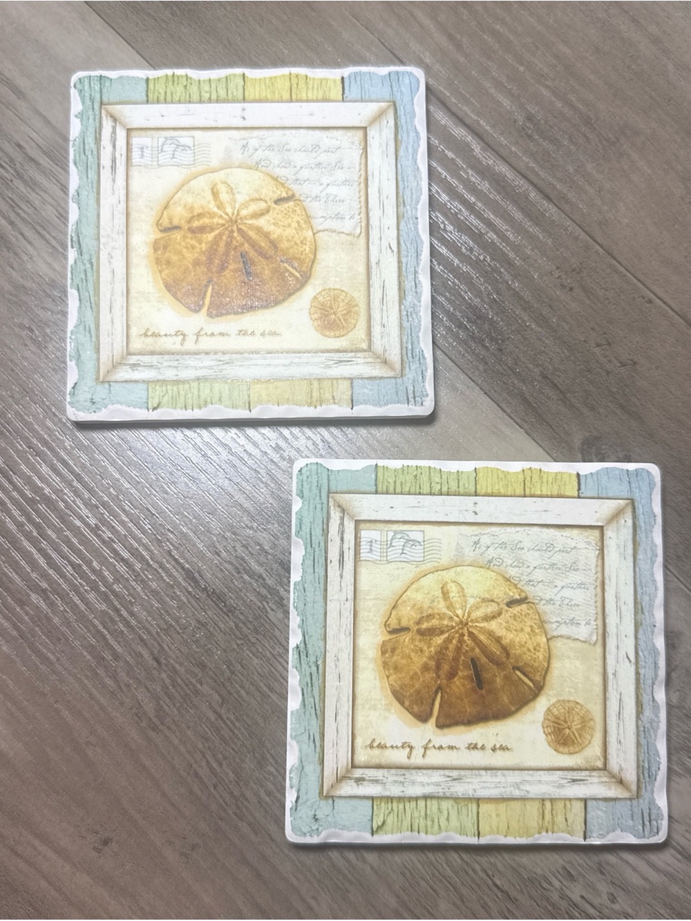 Coastal Beach Sand Dollar Coasters